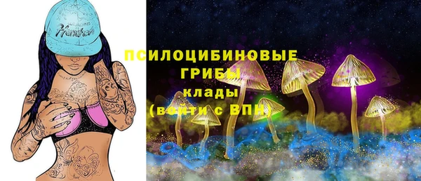 винт Алзамай