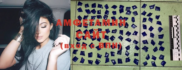 винт Алзамай