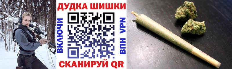 Бошки Шишки планчик  Пыталово 